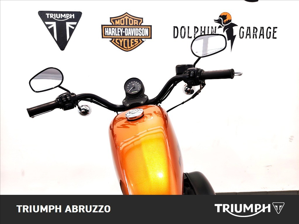 MOTO GUZZI V9 850 Roamer