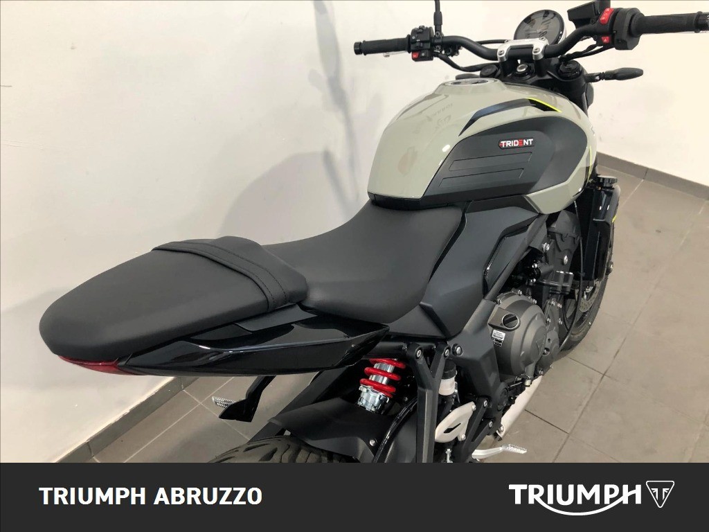 TRIUMPH Trident 660 Stone Grey Abs